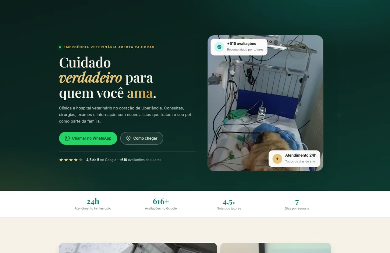 Hospital do Animal cover